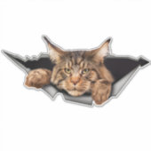 Autocollants, autocollants et autocollants amusant (Devant)