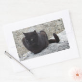 Autocollants Black Cat (Enveloppe)