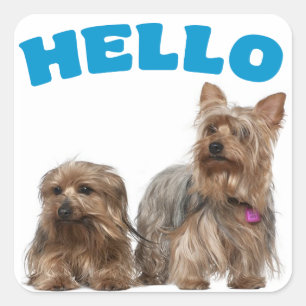 Autocollants bleu bonjour chiot Yorkshire Terrier