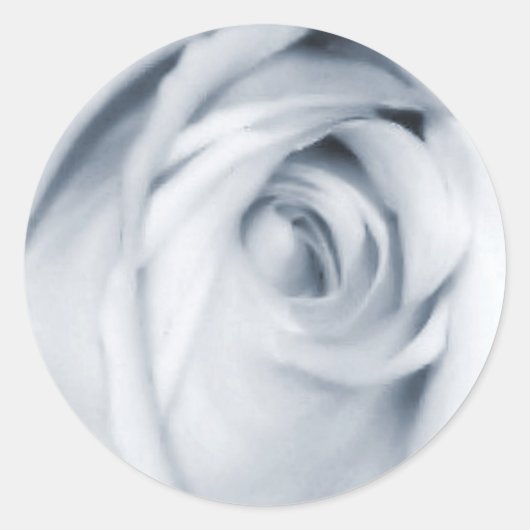 autocollants bleu rose muet (Devant)