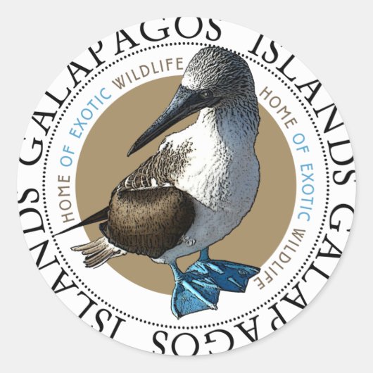 Autocollants Booby à pied bleu (Devant)