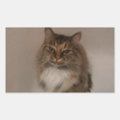 Autocollants Calico Cat (Devant)