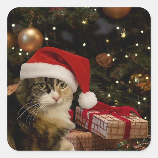 Autocollants Calico Santa Kitty (Devant)