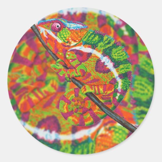 Autocollants caméléons cachés (Devant)