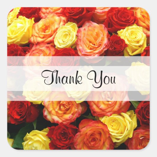 Autocollants Carrés Rose "Merci" personnalisés (Devant)