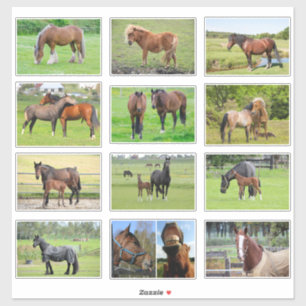Autocollants chevaux (ou VOS Photos)