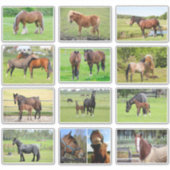 Autocollants chevaux (ou VOS Photos) (Devant)