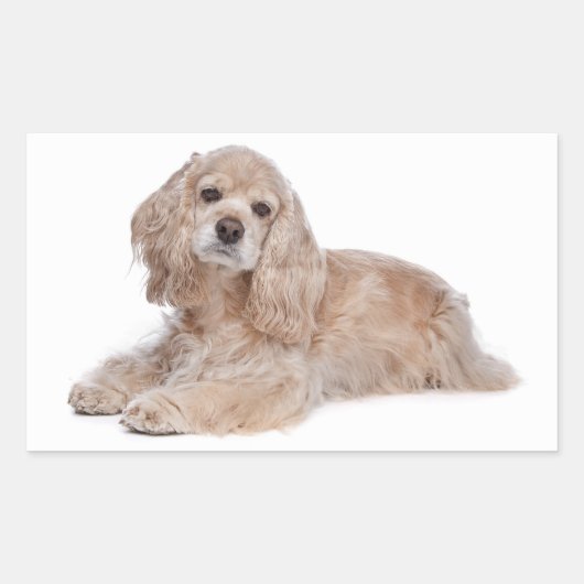 Autocollants Chien Chiot Cocker Spaniel (Devant)