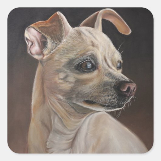 Autocollants Chihuahua (Devant)