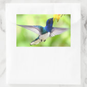Autocollants colibris (Sac)