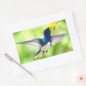 Autocollants colibris (Enveloppe)