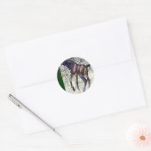Autocollants Colt (Enveloppe)