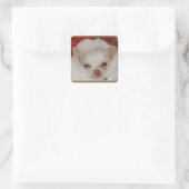 Autocollants confortables Chihuahua (Sac)