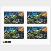 Autocollants Coral Reef (Feuille)