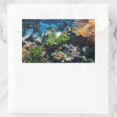 Autocollants Coral Reef (Sac)