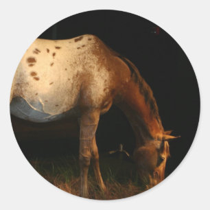 Autocollants d'Appaloosa