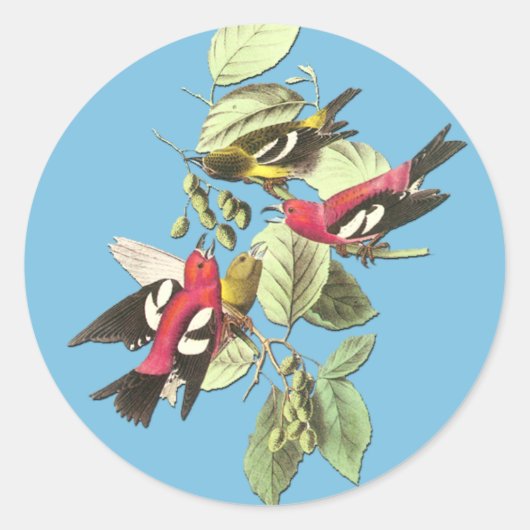 Autocollants d'art aux oiseaux audubon à ailes bla (Devant)