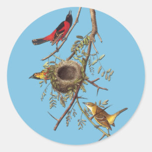 Autocollants d'art ornithologique Audubon Orchard