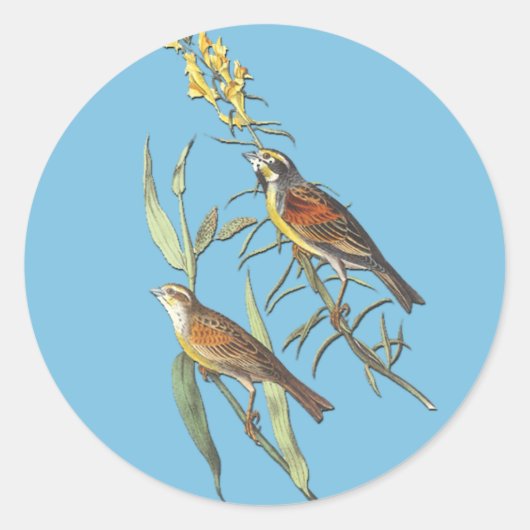 Autocollants d'art pour oiseaux Audubon Dickcissel (Devant)