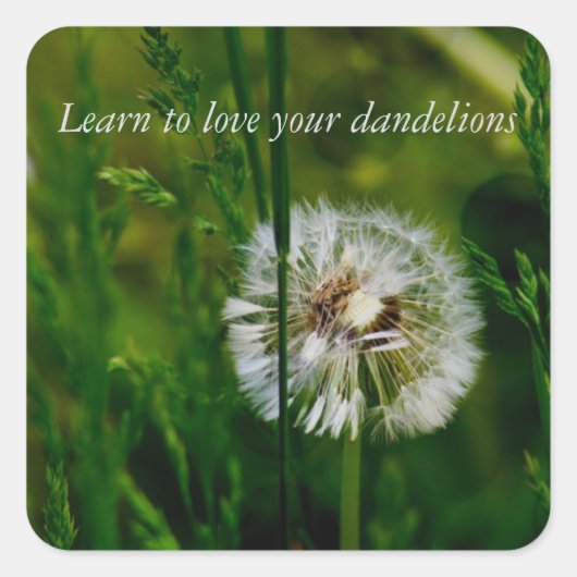 Autocollants DBT (Devant)