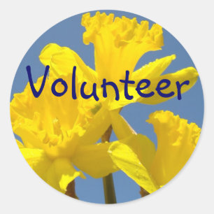 Autocollants de bénévole Fleurs Jaunes Narcisses É