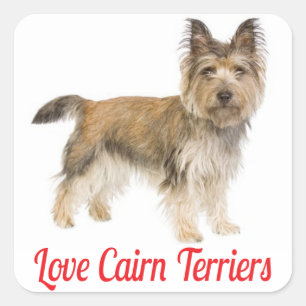 Autocollants de bienvenue pour chiots Cairn Terrie