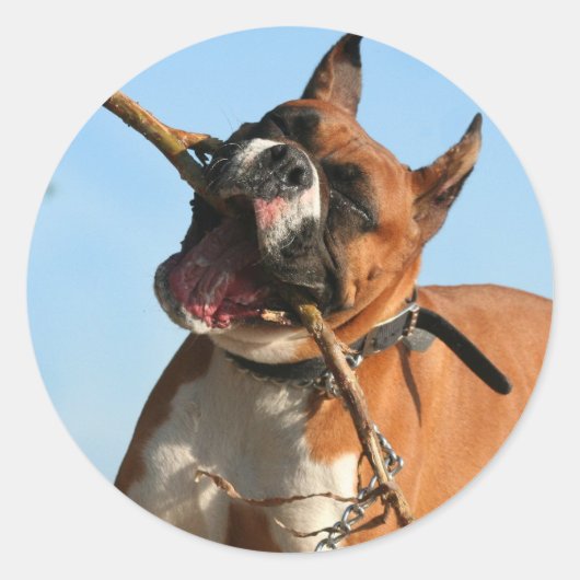 Autocollants de boîte (Devant)