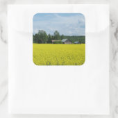 Autocollants de campagne finlandais (Sac)