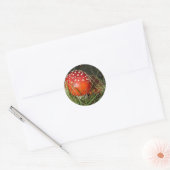 Autocollants de champignons Agaric (Enveloppe)