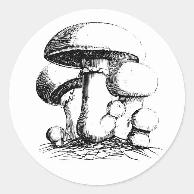 Autocollants de champignons de pré (Devant)