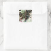 Autocollants de chat (Sac)