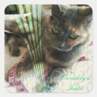 Autocollants de chat