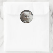 Autocollants de chat (Sac)