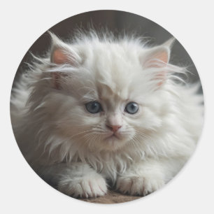 Autocollants de chat