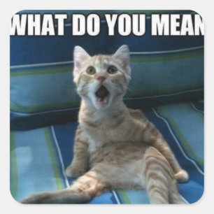 Autocollants de chat amusants