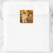 autocollants de chat automne (Sac)