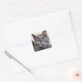 Autocollants de chat gris (Enveloppe)