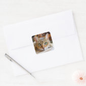 Autocollants de chats mignons (Enveloppe)