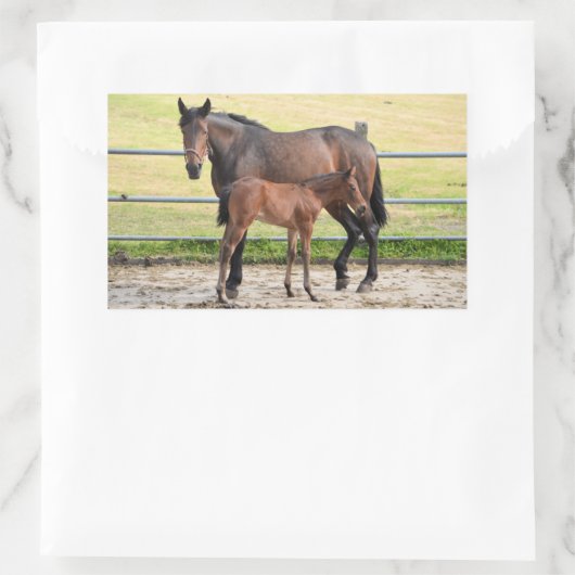 Autocollants de cheval (Sac)