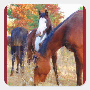 Autocollants de cheval