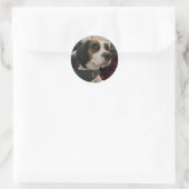 Autocollants de chien Beaglier- Beagle Bae Bea Str (Sac)