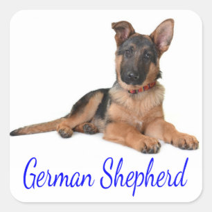 Autocollants de chien chiot berger allemand adoré