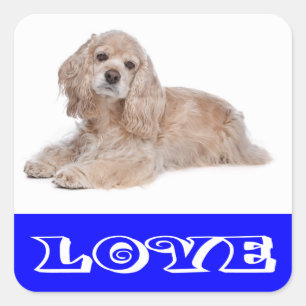 Autocollants de chien chiot Cocker Spaniel amour