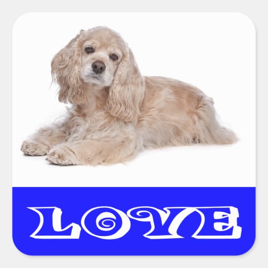 Autocollants de chien chiot Cocker Spaniel amour (Devant)