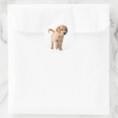 Autocollants de chien chiot Retriever doré (Sac)