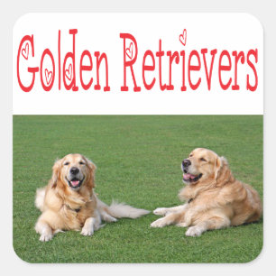 Autocollants de chien chiot Retriever doré Love