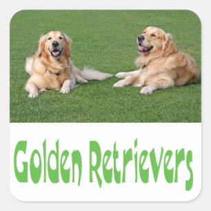 Autocollants de chien chiot Retriever doré Love