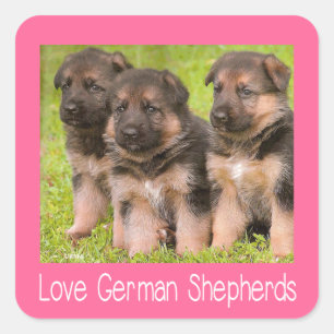 Autocollants de chien rose chiots berger allemand