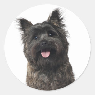 Autocollants de chiot Cairn Terrier
