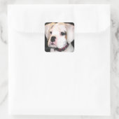 Autocollants de chiot de la boîte blanche (Sac)